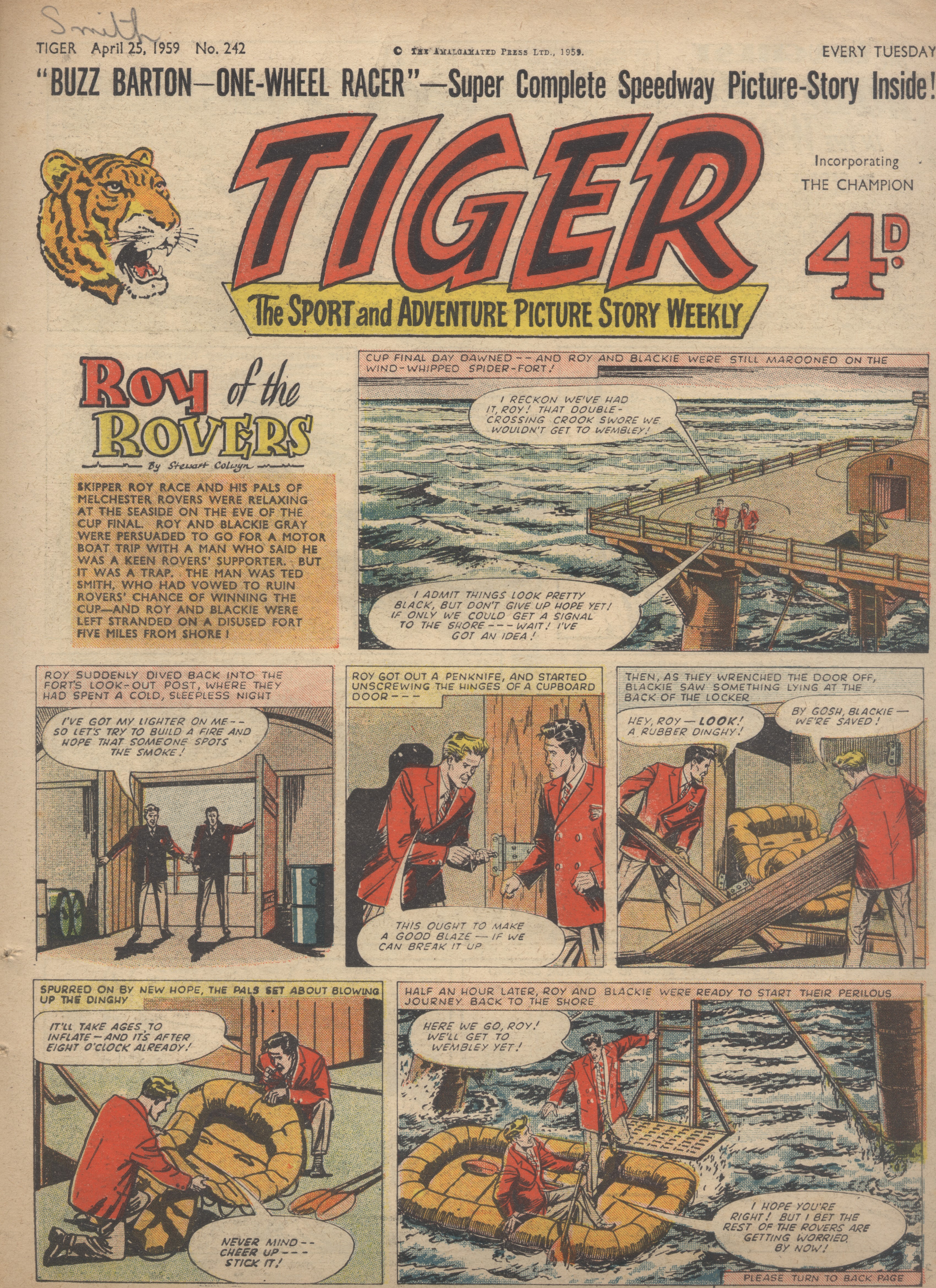 Tiger